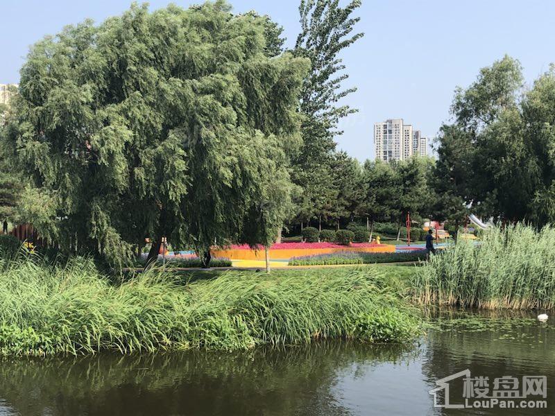 和泓长白府实景图