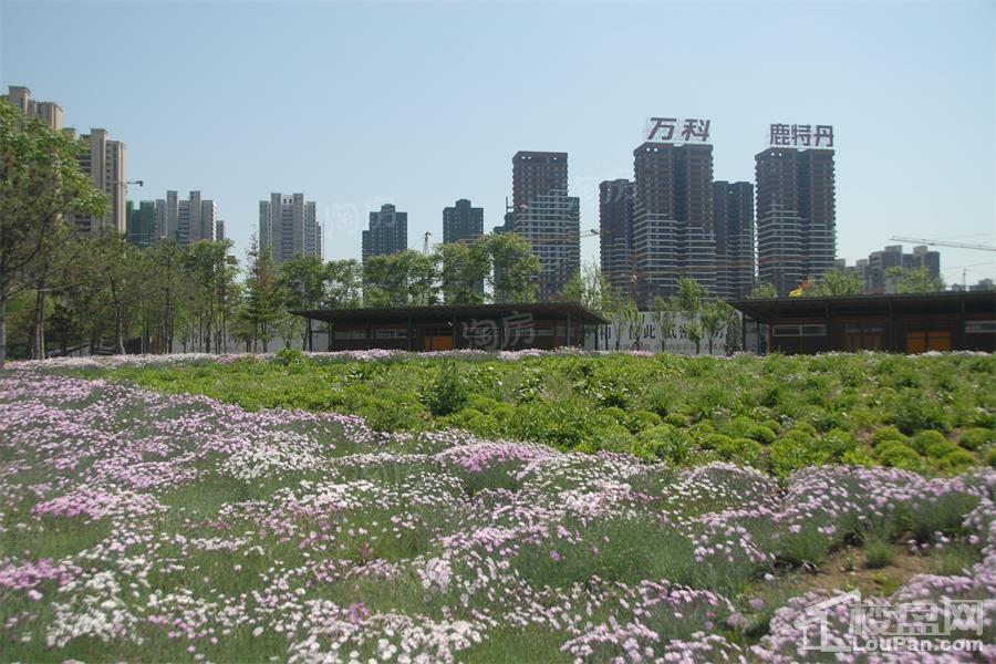 和泓长白府实景图