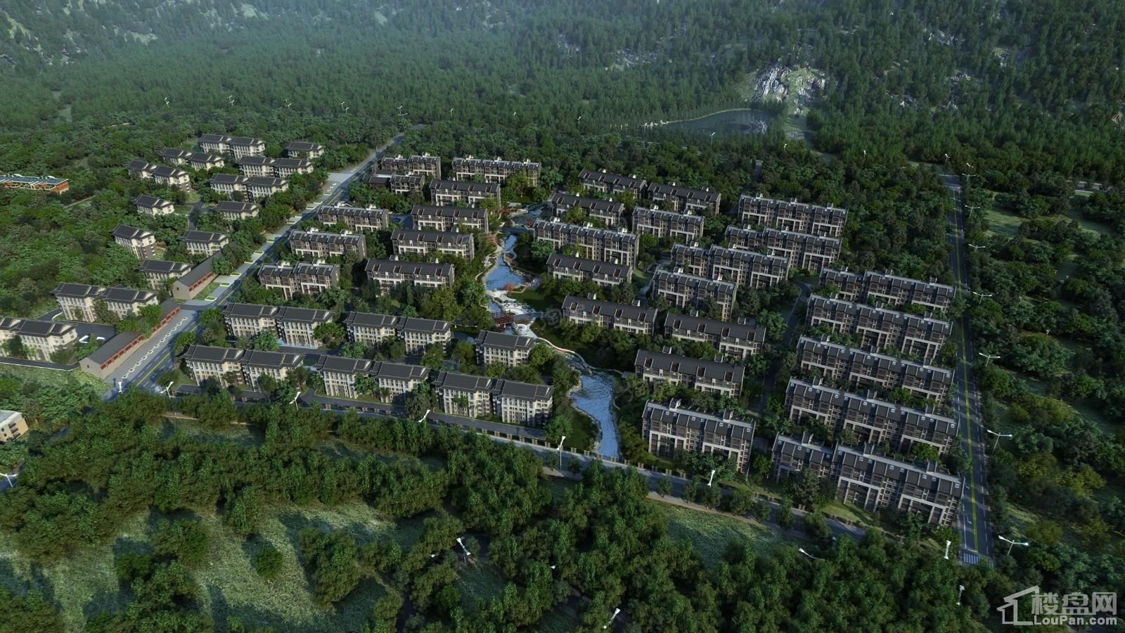 森隆卧龙大观效果图