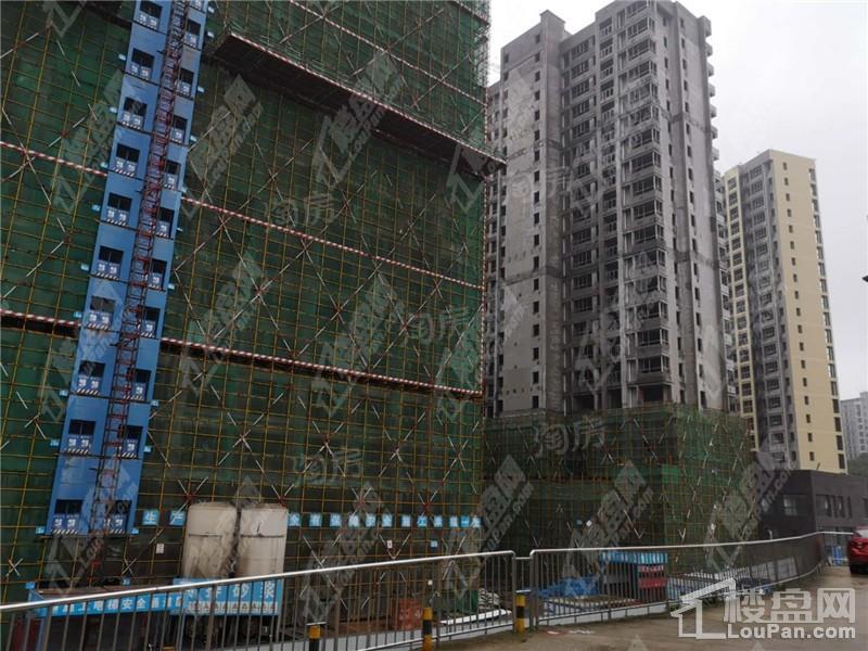 麦芒国际实景图