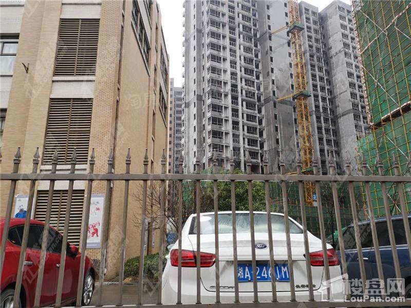 麦芒国际实景图