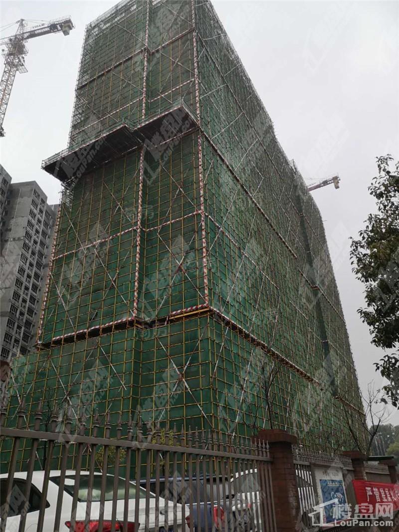 麦芒国际实景图