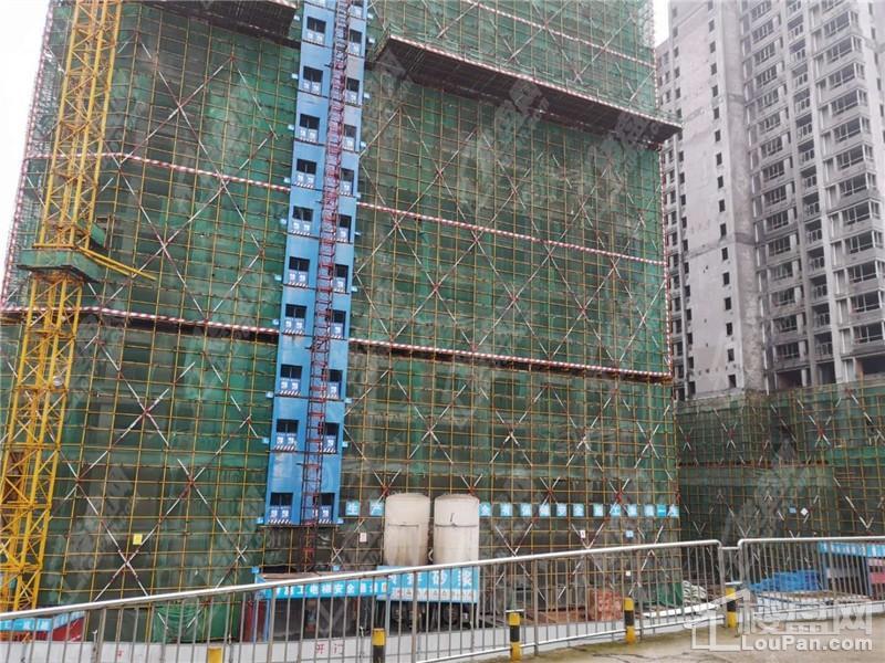 麦芒国际实景图