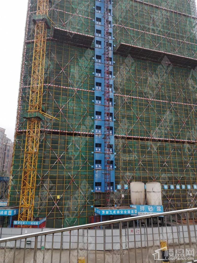 麦芒国际实景图