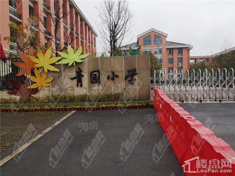 麦芒国际配套图