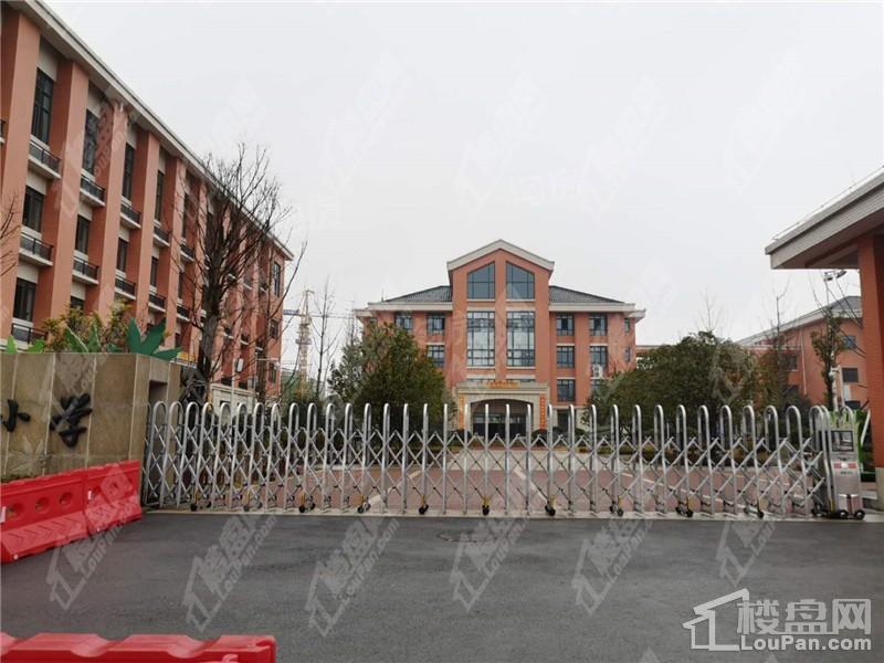 麦芒国际配套图