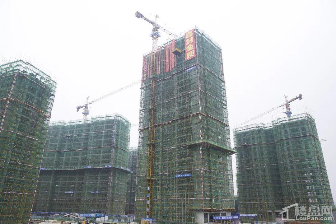 路桥·首府国际实景图