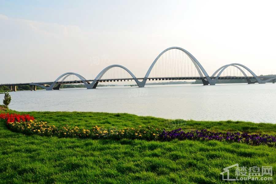 恒大盛京世家实景图