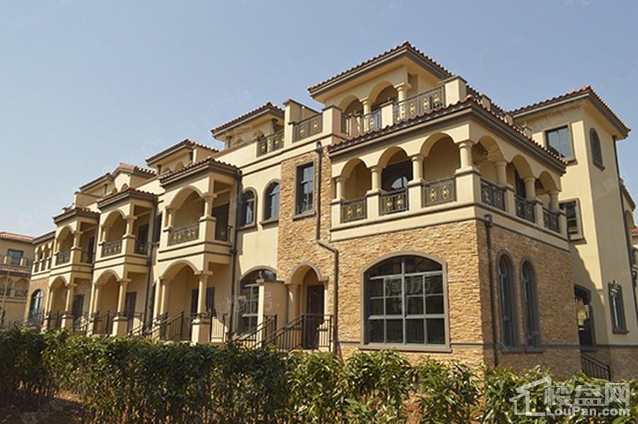 枫林半岛实景图