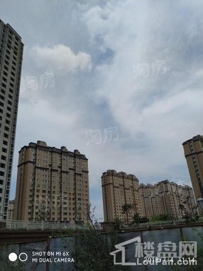 实景图