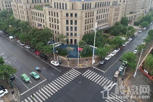 蓝城凤起梧桐实景图