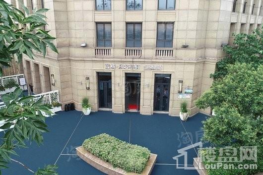蓝城凤起梧桐实景图