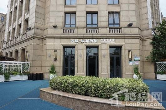 蓝城凤起梧桐实景图