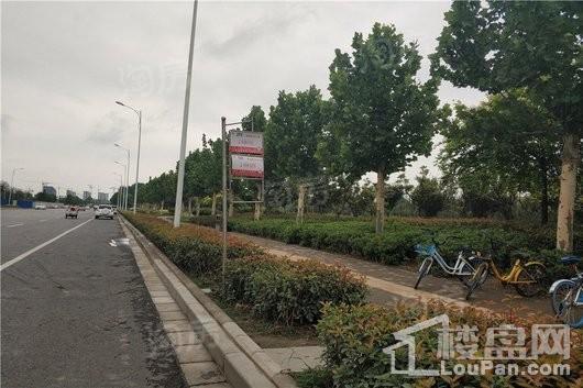 蓝城凤起梧桐配套图