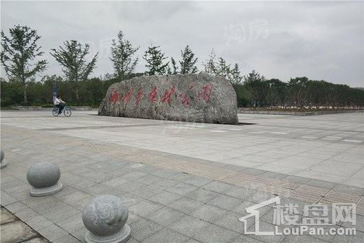 蓝城凤起梧桐配套图