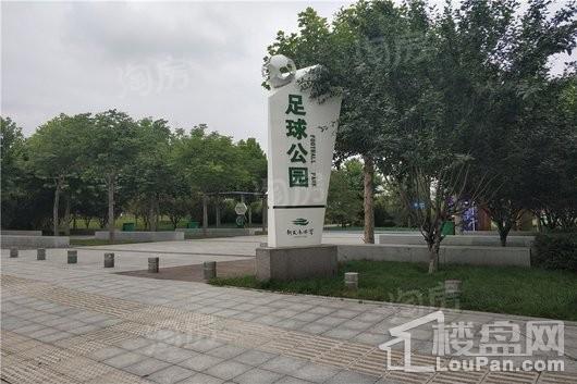 蓝城凤起梧桐配套图
