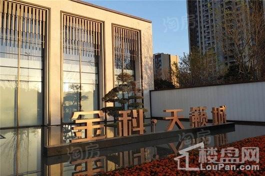 金科天籁城实景图