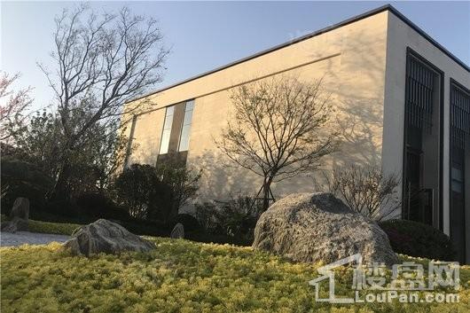 金科天籁城实景图