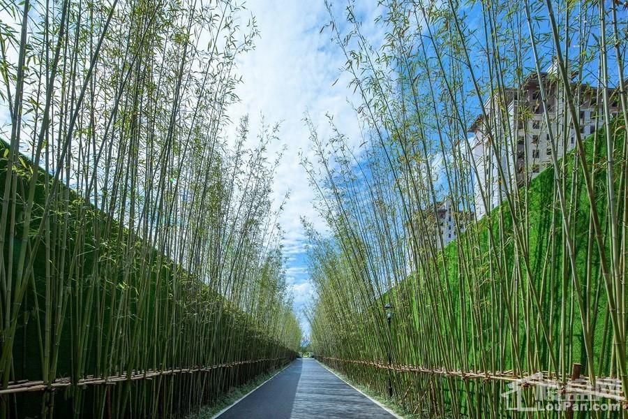 大家映江南效果图