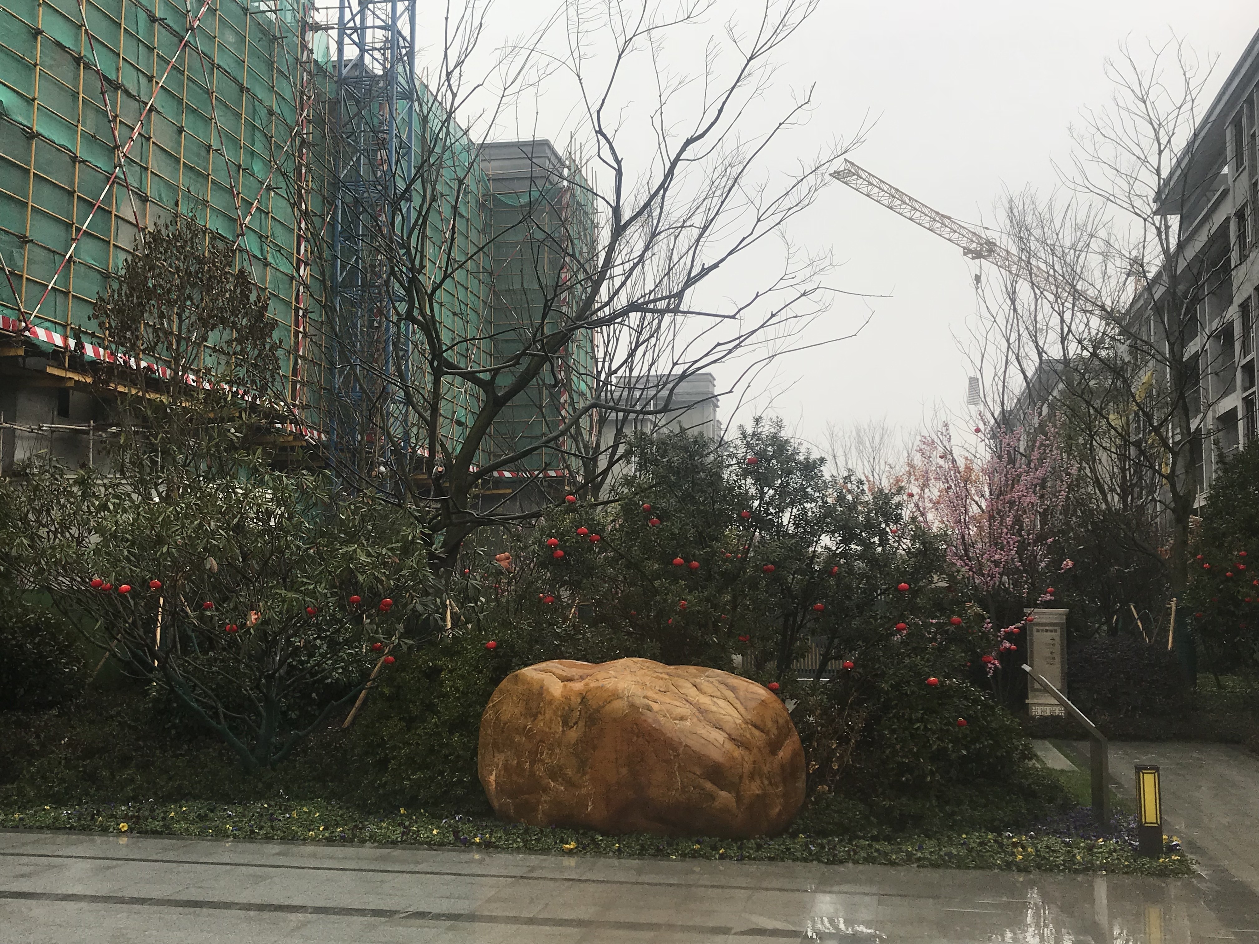 蓝光雍锦园实景图