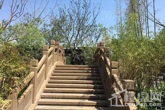 建发·雍龙府实景图
