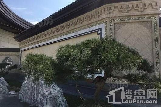 建发·雍龙府实景图