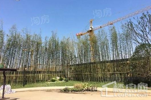 建发·雍龙府实景图