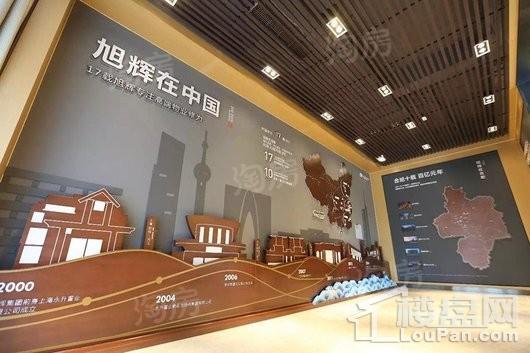 旭辉玖著实景图