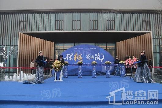 中南·樾府实景图