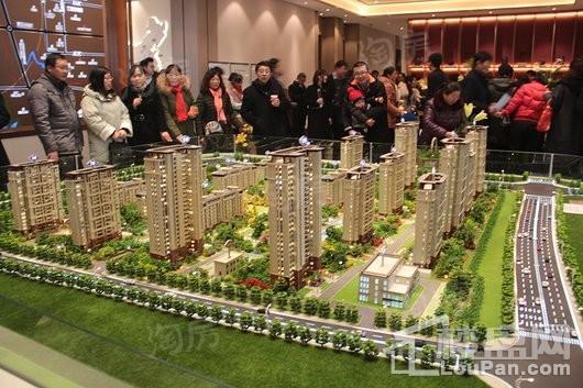 中南·樾府实景图