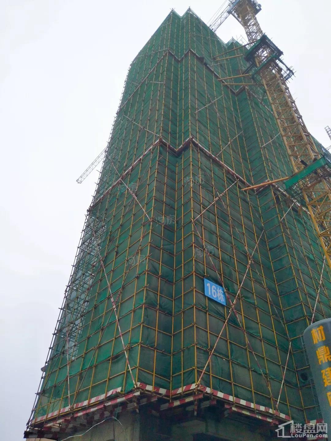 中建亮月湖实景图
