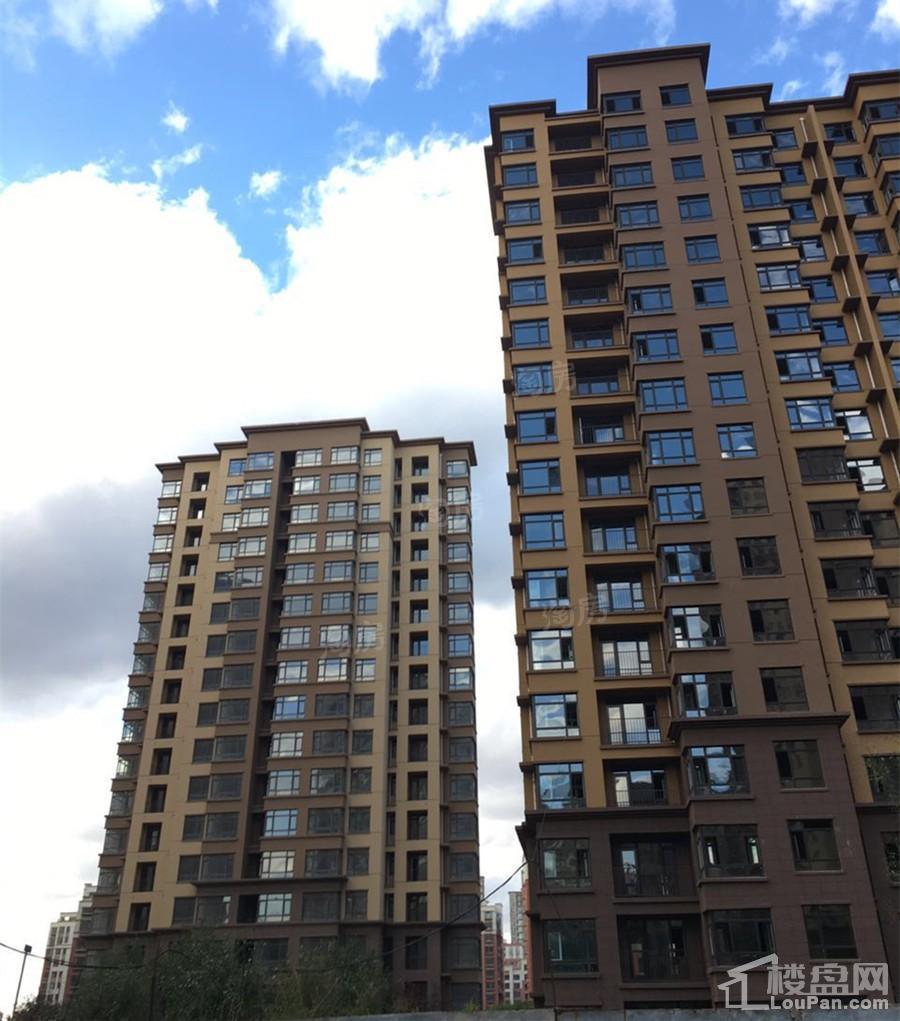 盛世园田居实景图