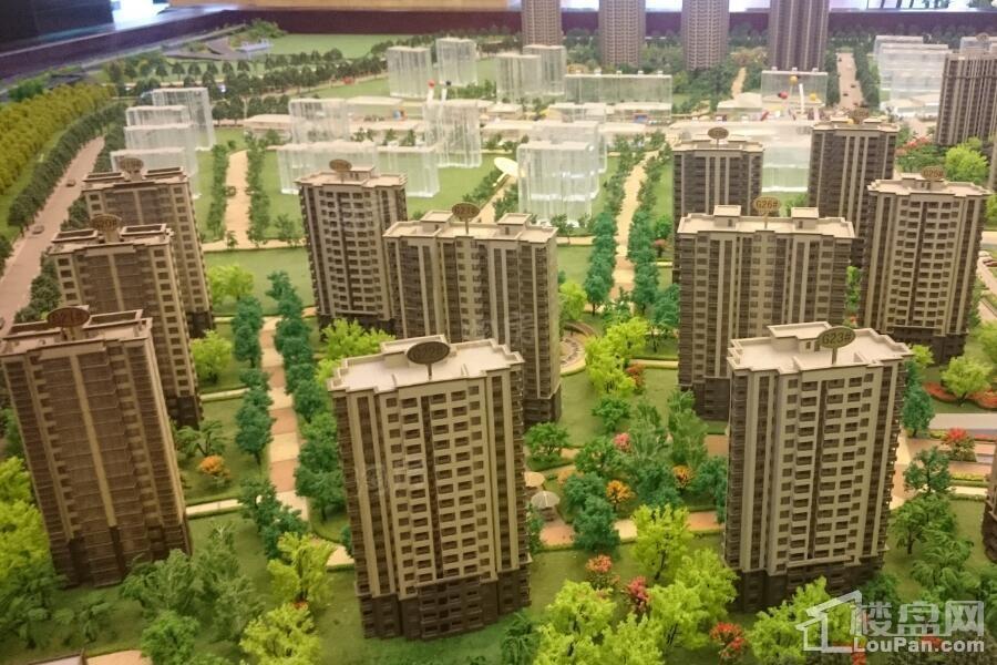 盛世园田居实景图