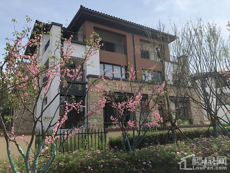 沈阳恒大汇鑫山庄实景图