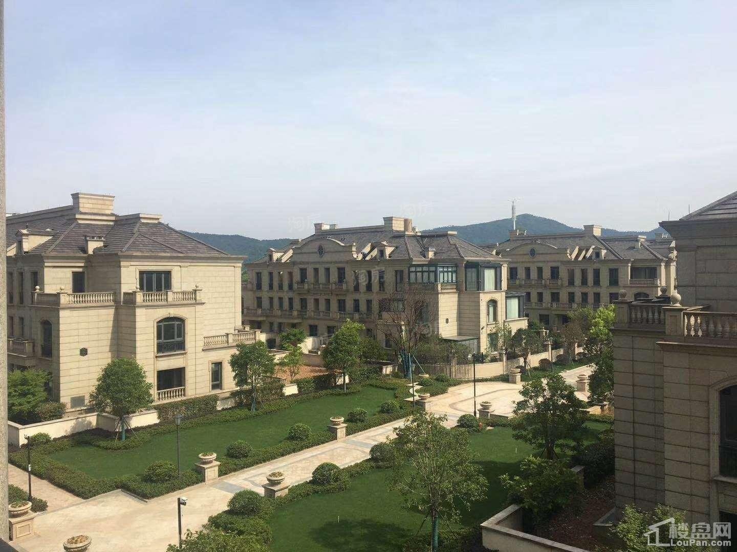 滨江左岸实景图