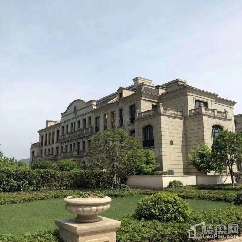 滨江左岸实景图