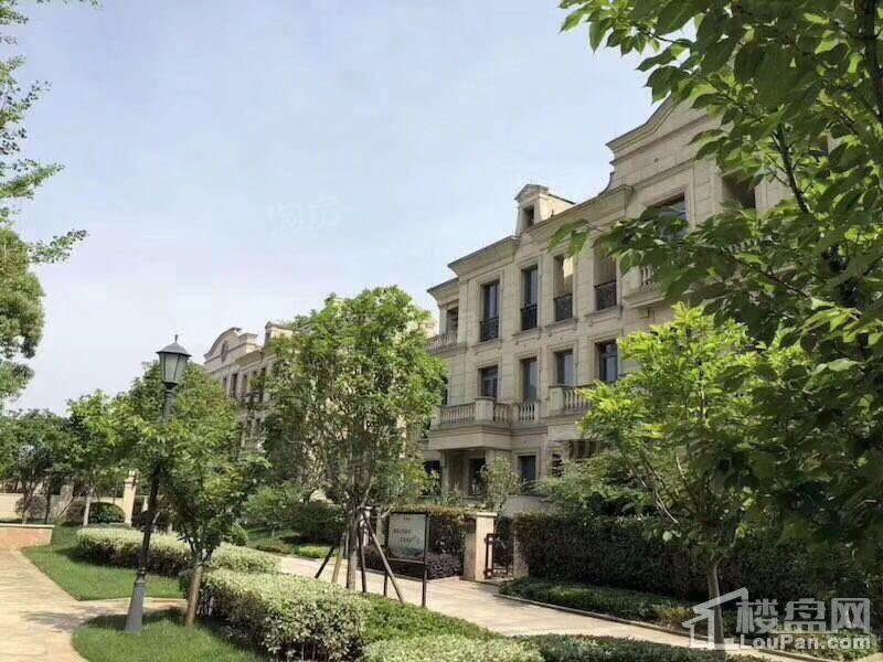 滨江左岸实景图