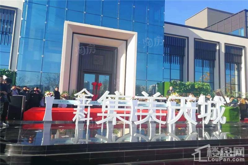 金科集美天城实景图
