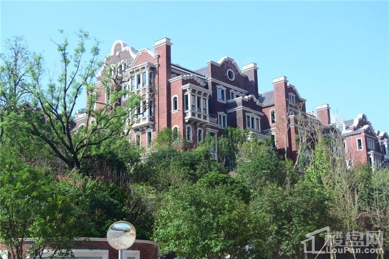珠江东方明珠实景图
