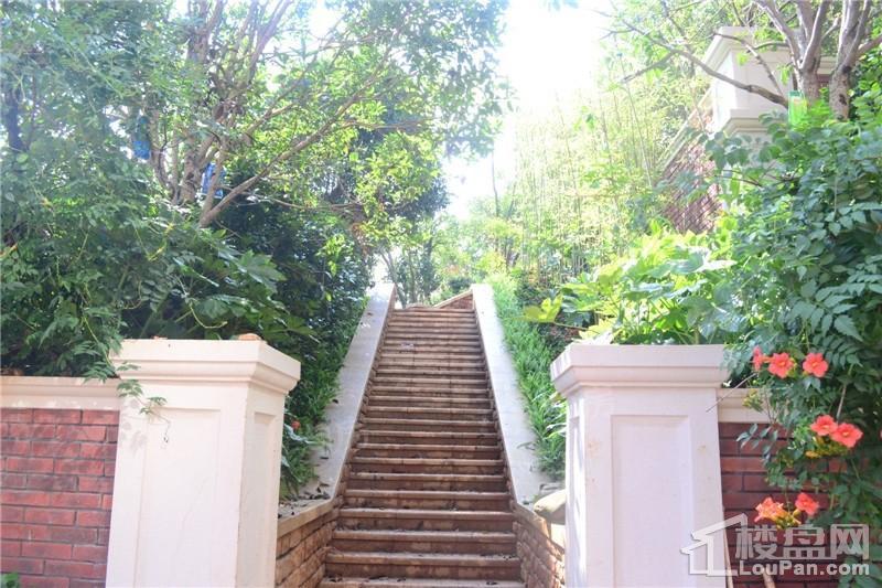 珠江东方明珠实景图