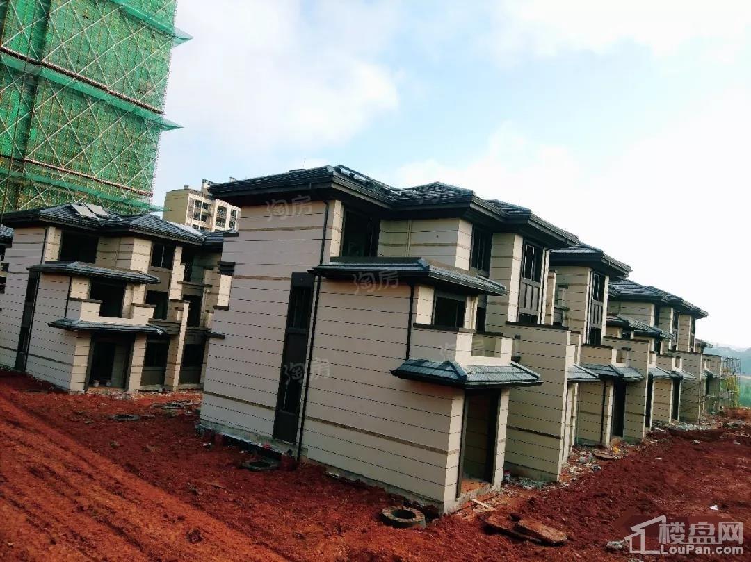 澳海望洲府实景图