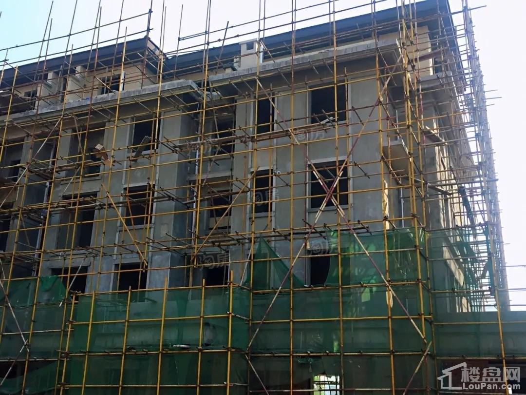 澳海望洲府实景图