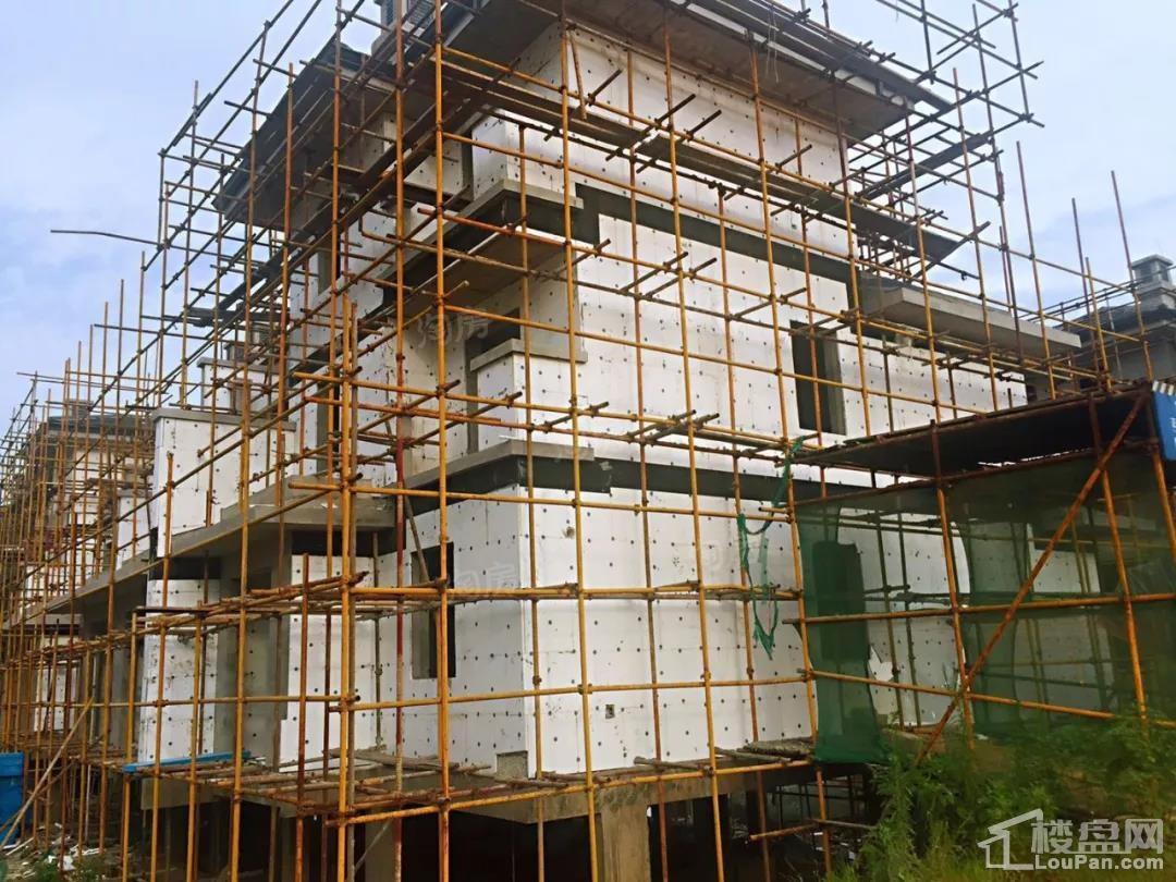 澳海望洲府实景图