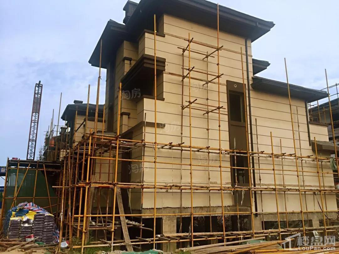 澳海望洲府实景图