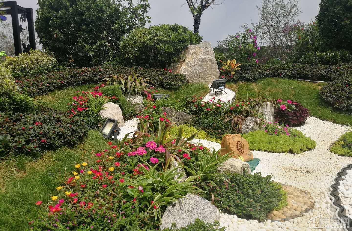 碧桂园莱凤台实景图