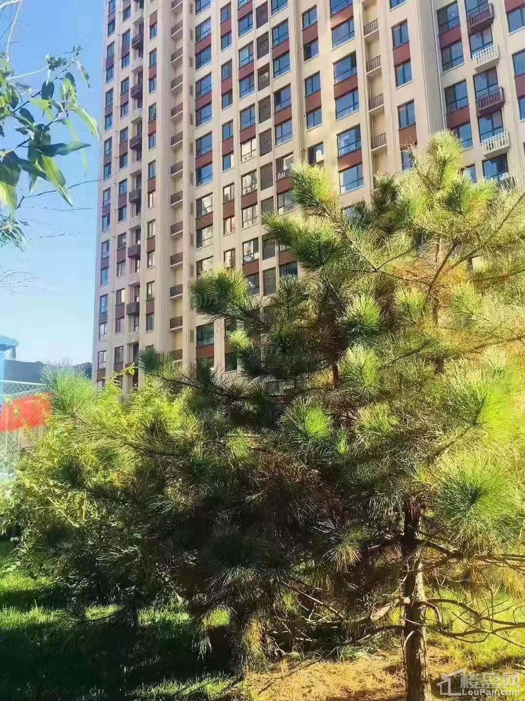 金海太阳公园实景图
