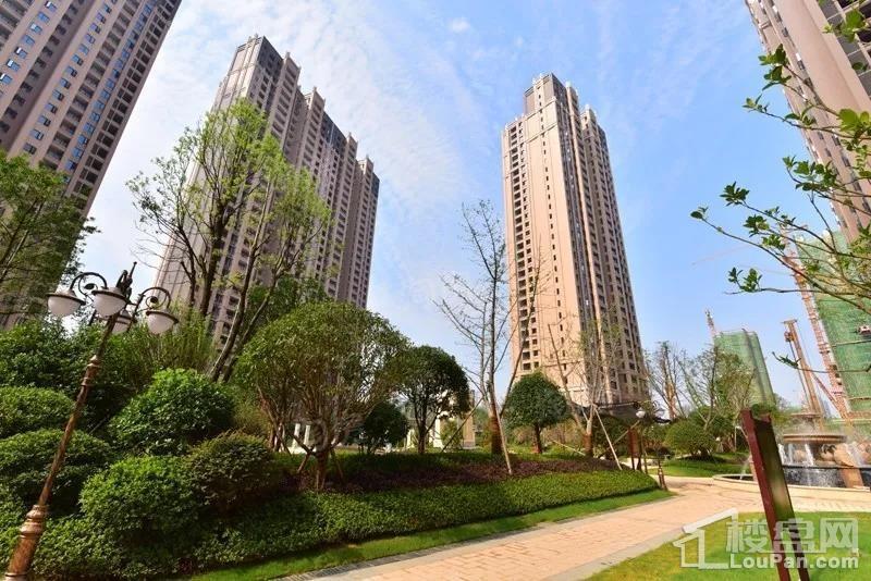 润和滨江府实景图