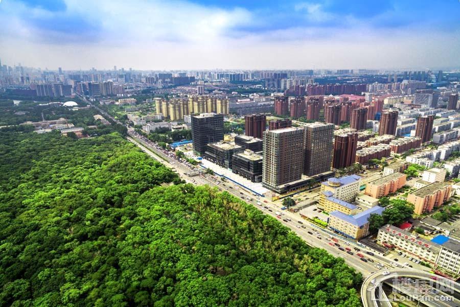 中粮隆玺祥云实景图