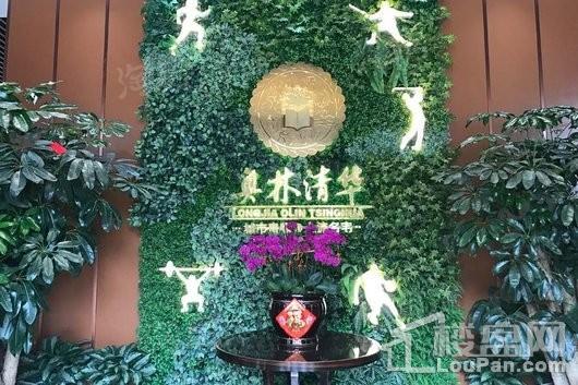 奥林清华花园实景图