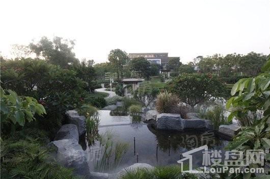 奥林匹克花园5期实景图